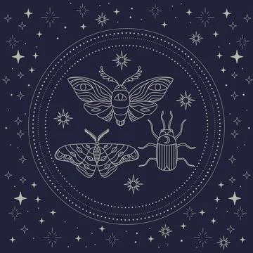 Celestial insects linear hand drawing vector illustration Stock Illustration