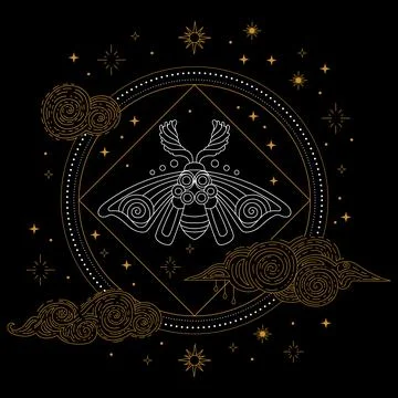 Celestial moth linear hand drawing vector illustration 스톡 일러스트