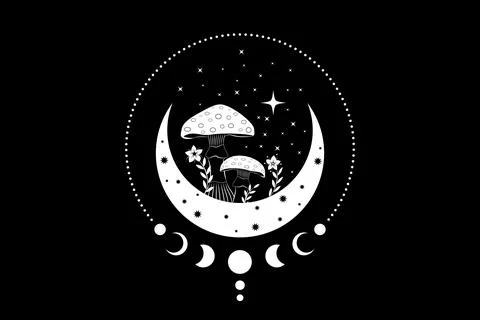 Celestial Mystical boho mushrooms, magic Amanita Muscaria with moon Stock Illustration