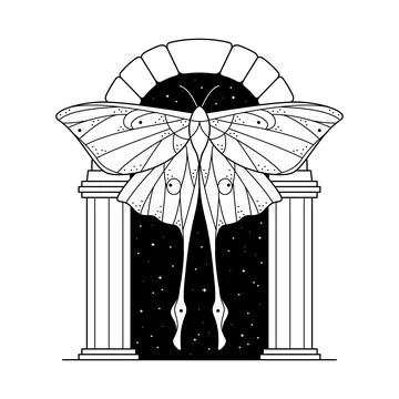 Celestial print with line arch and luna moth. Secret garden. Mystic insect pr Stock Illustration