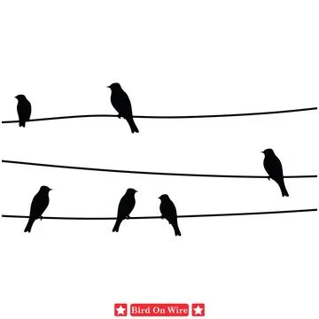 Celestial Symphony Mesmerizing Birds on Wire Vector Designs Stock Illustration