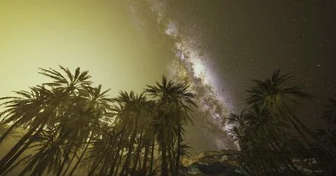 Celestial view of the Milky Way over palm trees in a serene desert at night Illustrazione stock