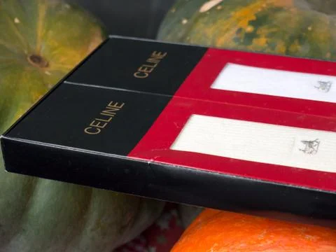 Celine socks. 스톡 사진