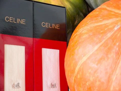 Celine socks. Stock Photos