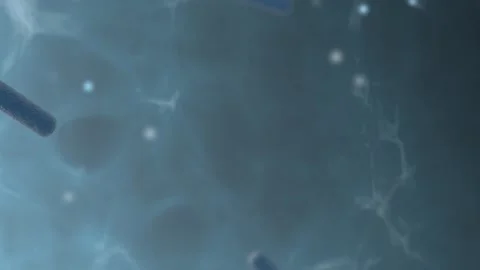 Cell  1 Video stock 145258159