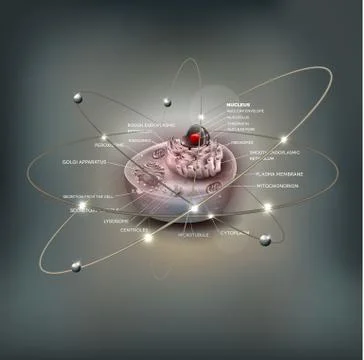 Cell anatomy abstract atom design Stock Illustration