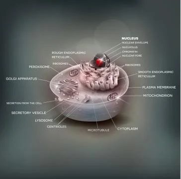 Cell anatomy beautiful mesh background Stock Illustration