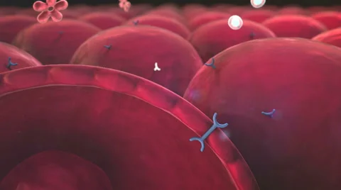 Cell and insulin Stock Footage 58195238