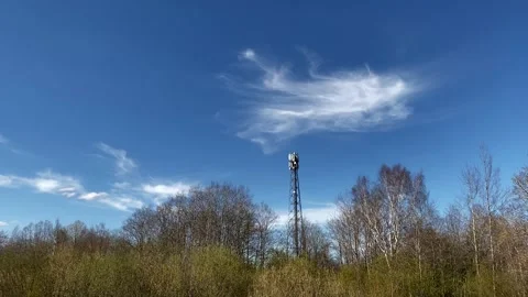 A cell and internet connection tower stands in a forest against a blue sky with  Stock Footage 130791649