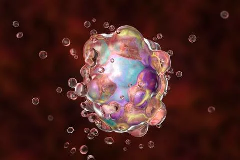 Cell apoptosis illustration Stock Illustration