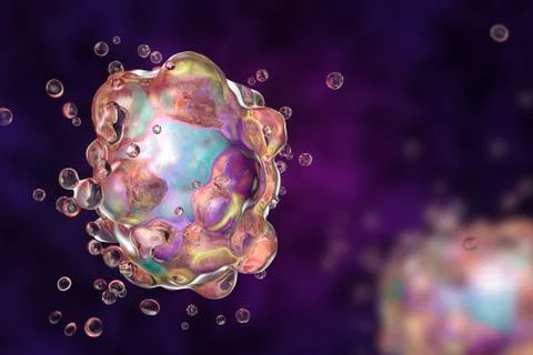 Cell apoptosis illustration Stock Illustration