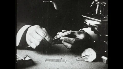 Cell Biology Stock Footage 83611786