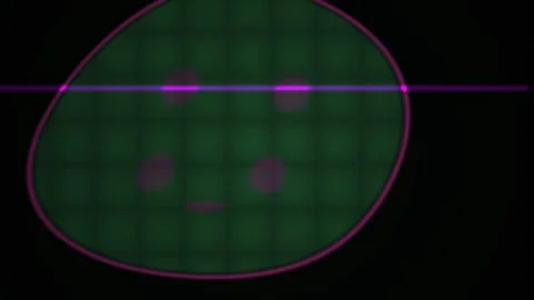 Cell biology microscope view detail. Stock Footage 340000122