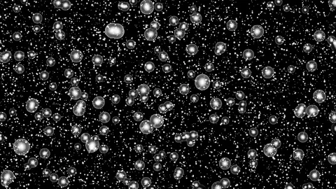 Cell Black White Stock Footage 107403703