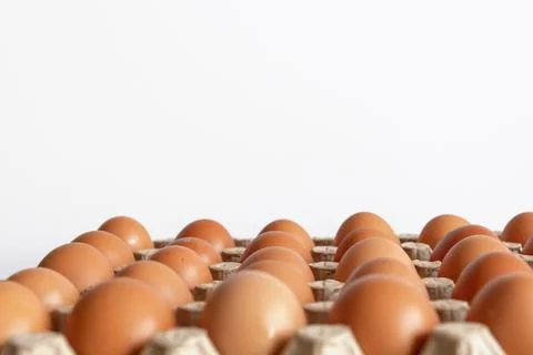 Cell of brown chicken eggs isolated on wihte background Stock Photos