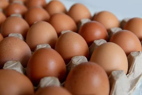 Cell of brown chicken eggs Stock Photos