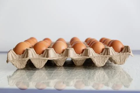 Cell of brown chicken eggs Stock Photos