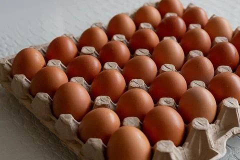 Cell of brown chicken eggs Stock Photos