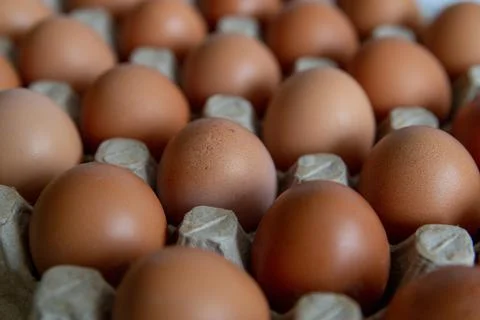 Cell of brown chicken eggs Stock Photos