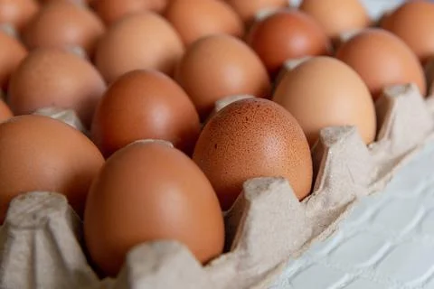 Cell of brown chicken eggs Stock Photos