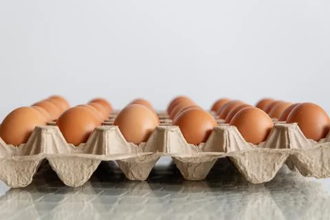Cell of brown chicken eggs Stock Photos