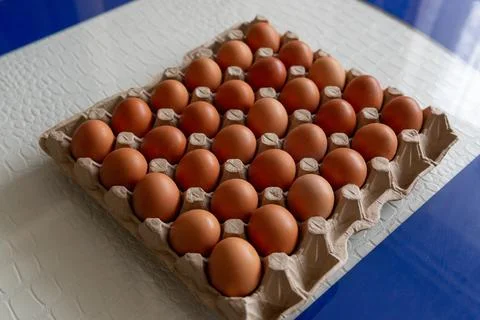 Cell of brown chicken eggs Stock Photos