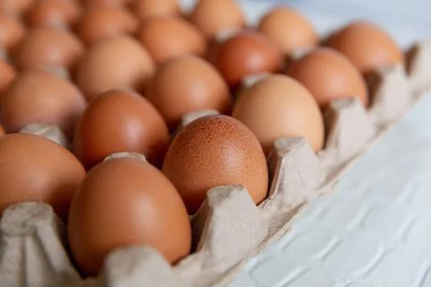Cell of brown chicken eggs Stock Photos