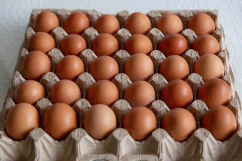 Cell of brown chicken eggs Stock Photos