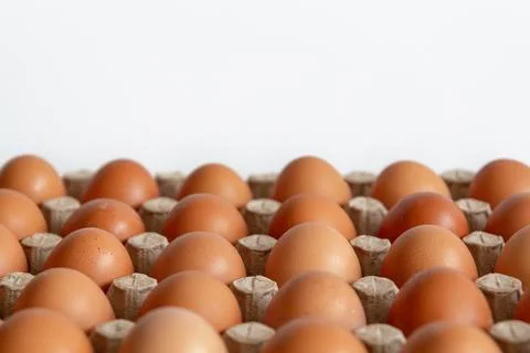 Cell of brown chicken eggs Stock Photos