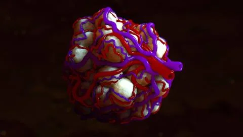 Cell Cluster with Vessels Veins and Artheries 3D Model