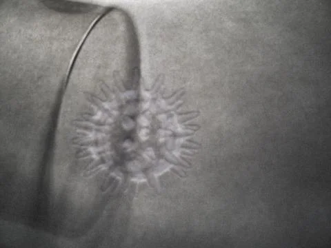 Cell Collection Stock Illustration