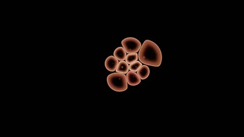 Cell Colony Expands Slowly Across A Dark Microscopy Field Stock-Footage 344512598