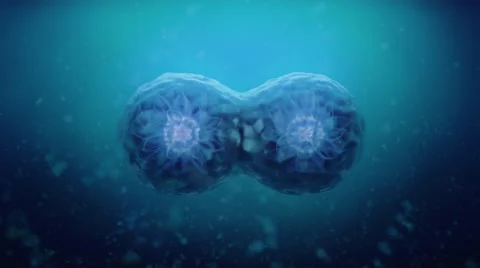 Cell Combine, 3d Animation 4k Vidéo 63797291