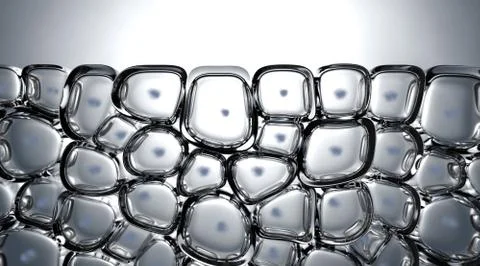 Cell Cross Section Stock Illustration