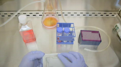Cell culture Stock Footage 653745