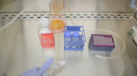 Cell culture Stock Footage 653759