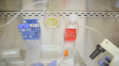 Cell culture Stock Footage 653786