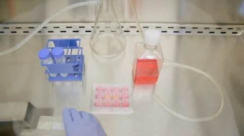 Cell culture Stock Footage 653841