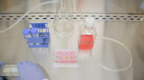 Cell culture Stock-Footage 653898