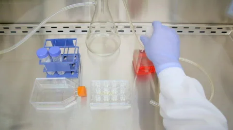 Cell culture Stock Footage 653942