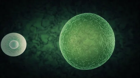 Cell Death Stock Footage 54585151