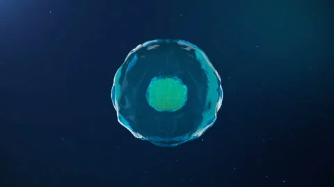 Cell divide, bacteria divide on abstract background. Cells divide under Stock Footage 97883304