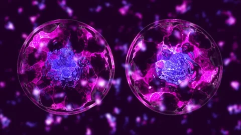 Cell divide Stock Footage 84171496