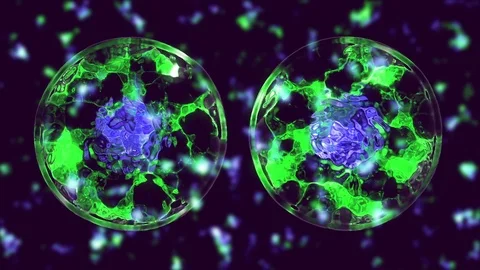 Cell divide Stock Footage 84171500