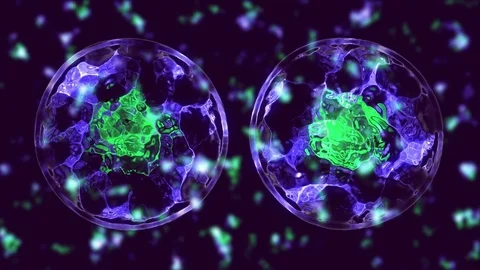 Cell divide Stock Footage 84172205