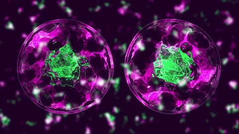 Cell divide Stock Footage 84172209