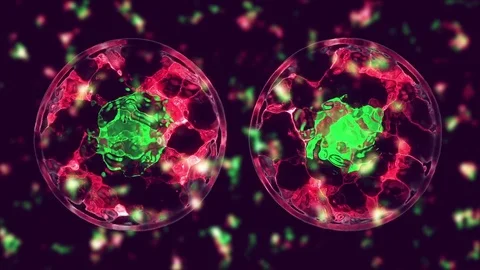 Cell divide Stock Footage 84173127