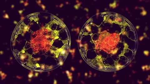 Cell divide Stock Footage 84173222