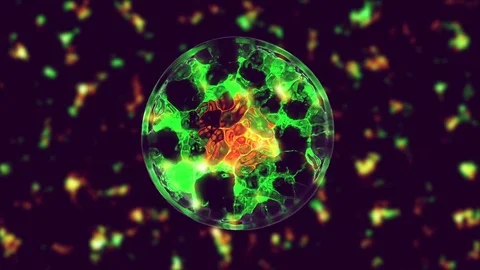 Cell divide Stock Footage 84173233