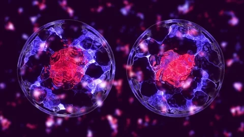 Cell divide Stock Footage 84173646